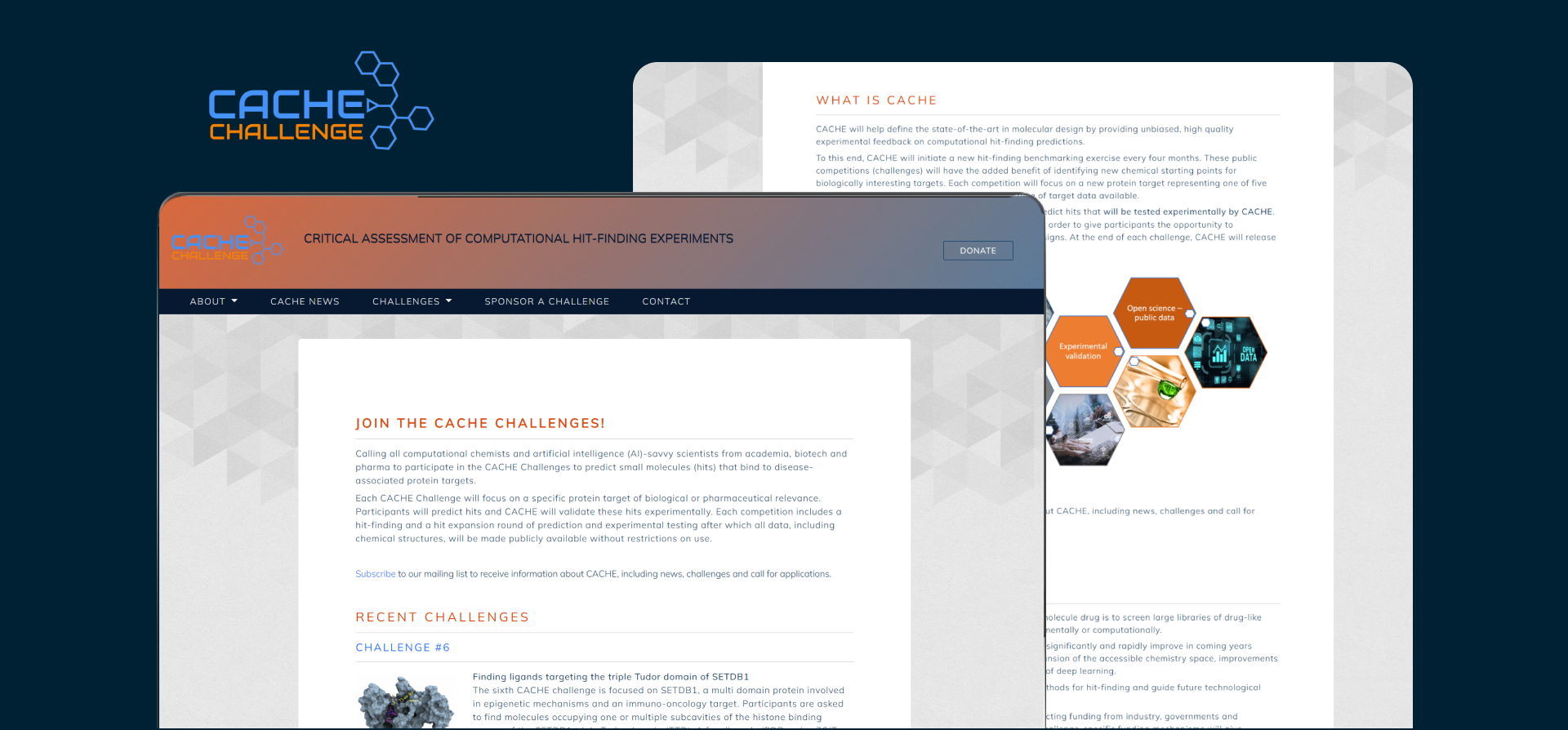 Portfolio Detail